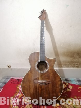 Chard Acoustic Guitar